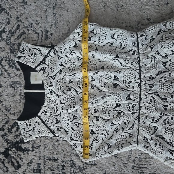 Maeve Sleeveless Lace Peplum Top Size 10 Back Zipper. Black lining. Elegant! - Picture 10 of 12